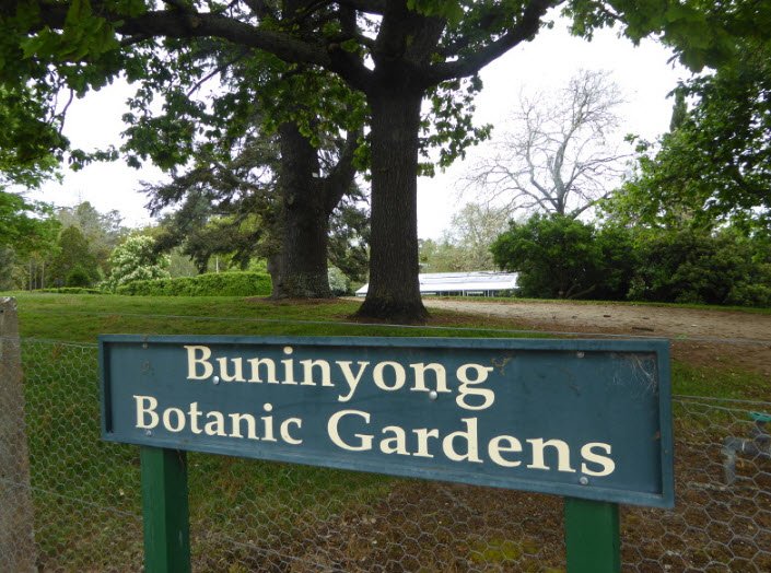 Buninyong Botanic Gardens, Australia